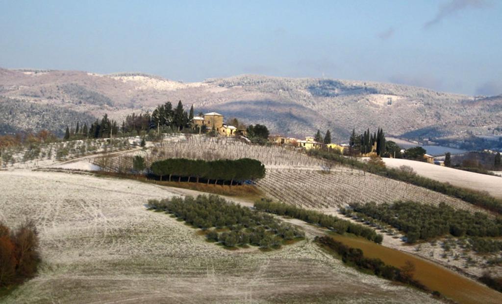 Osteria Carnivora Guest House Gaiole in Chianti Exteriér fotografie